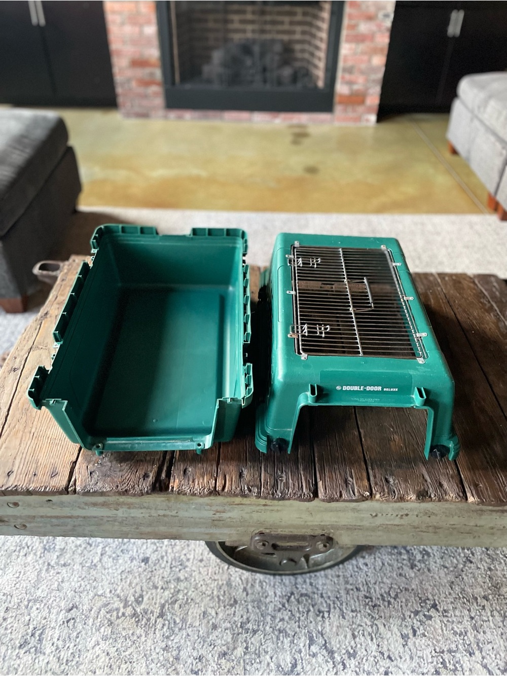 DOUBLE-DOOR Deluxe Pet Carrier in Teal Green - Cat Carrier - Small Dog Carrier - Picture 16 of 16